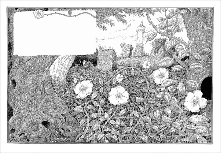 CILIP Carnegie and Kate Greenaway Medals, медаль Кейт Ґріневей 2016, Спляча Красуня і веретено, The Sleeper and The Spindle, Neil Gaiman, illustrated by Chris Riddell,, Нл Ґейман, Кріс Ріддел, найкращі дитячі книжки