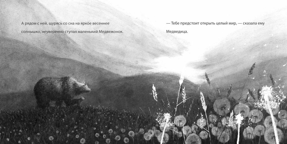 Медаль Кейт Ґріневей: лонгліст 2016, медаль Кейт Ґріневей, Kate Greenaway Medal, Кейт Грінуей, що читати дітям, найкращі книжки для дітей, книжки для підлітків, відомі ілюстратори, красиві ілюстрації, нагороди, премії для ілюстраторів, , леві пінфолд, роулінг,Alpha, Barroux,,Return,Aaron Becker,Wild Animals of the North,Dieter Braun,Bob the Artist,Marion Deuchars,The Lion Inside,Jim Field, Rachel Bright,Perfect,Cathy Fisher, Nicola Davies,Tidy,Emily Gravett,The Wolves of Currumpaw,William Grill,Harry Potter and the Philosopher’s Stone, Jim Kay, J.K. Rowling,The Whale,Ethan Murrow, Vita Murrow,Greenling,Levi Pinfold,A Great Big Cuddle,Chris Riddell,Michael Rosen,A Beginner’s Guide to Bear Spotting,David Roberts,Michelle Robinson,The Journey, Francesca Sanna,The Marvels,Brian Selznick,There is a Tribe of Kids,Lane Smith,Rain,Sam Usher,Counting Lions,Virginia McKenna,Katie Cotton,Stephen Walton,Little One ,Johanna Weaver,The Great Fire of London,James Weston Lewis, Emma Adams