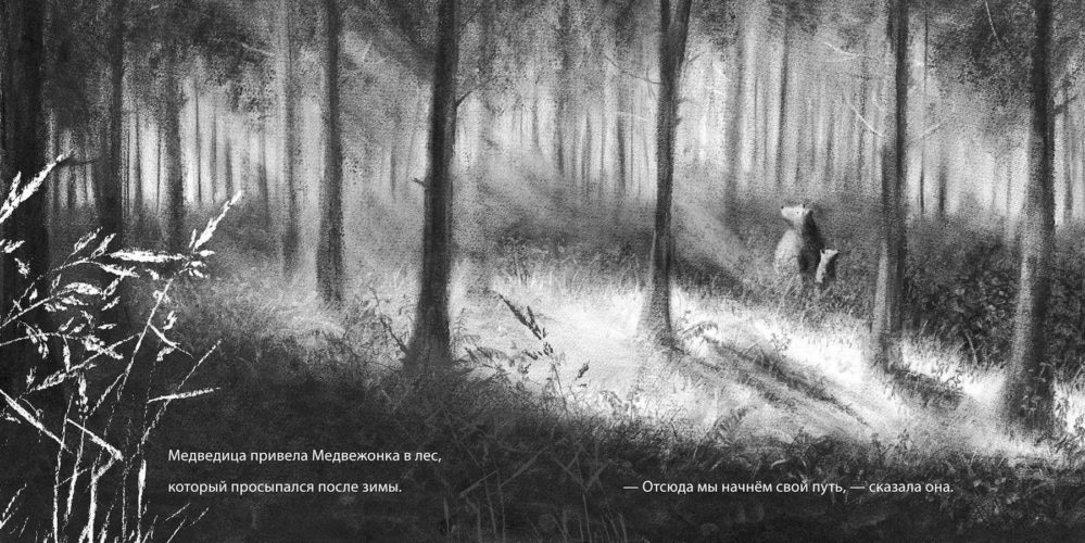 Медаль Кейт Ґріневей: лонгліст 2016, медаль Кейт Ґріневей, Kate Greenaway Medal, Кейт Грінуей, що читати дітям, найкращі книжки для дітей, книжки для підлітків, відомі ілюстратори, красиві ілюстрації, нагороди, премії для ілюстраторів, , леві пінфолд, роулінг,Alpha, Barroux,,Return,Aaron Becker,Wild Animals of the North,Dieter Braun,Bob the Artist,Marion Deuchars,The Lion Inside,Jim Field, Rachel Bright,Perfect,Cathy Fisher, Nicola Davies,Tidy,Emily Gravett,The Wolves of Currumpaw,William Grill,Harry Potter and the Philosopher’s Stone, Jim Kay, J.K. Rowling,The Whale,Ethan Murrow, Vita Murrow,Greenling,Levi Pinfold,A Great Big Cuddle,Chris Riddell,Michael Rosen,A Beginner’s Guide to Bear Spotting,David Roberts,Michelle Robinson,The Journey, Francesca Sanna,The Marvels,Brian Selznick,There is a Tribe of Kids,Lane Smith,Rain,Sam Usher,Counting Lions,Virginia McKenna,Katie Cotton,Stephen Walton,Little One ,Johanna Weaver,The Great Fire of London,James Weston Lewis, Emma Adams