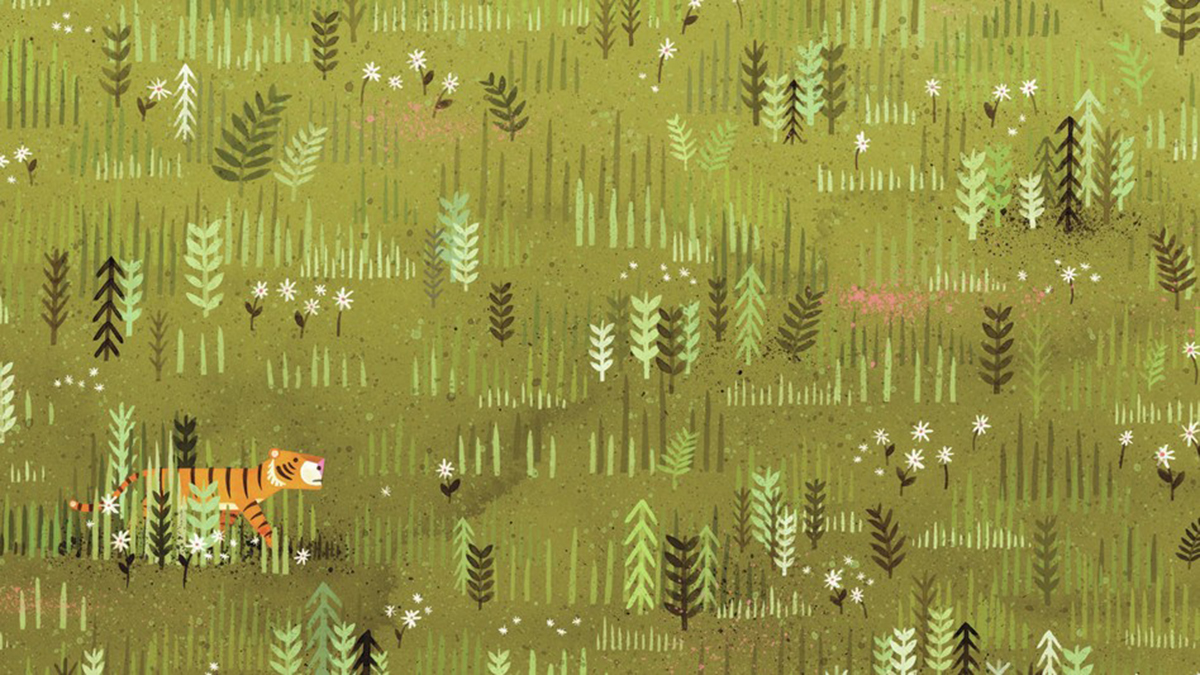 Mr. Tiger Goes Wild, Peter Brown, пан тигр дичавіє, господин тигр одичал, література про свободу, книжки-картинки