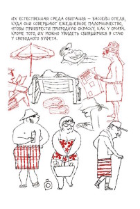 мігель гаярдо, марія і я, аутизм, Mils Orejas, Eliza Woloson, My Friend Isabelle, джиммі ліао, звучання кольору, звучание цвета, planet willi, бирта мюллер, бірта міллер, планета вилли, планета віллі, самокат, література про дітей з синдромом дауна, дитячі книжки про інвалідів